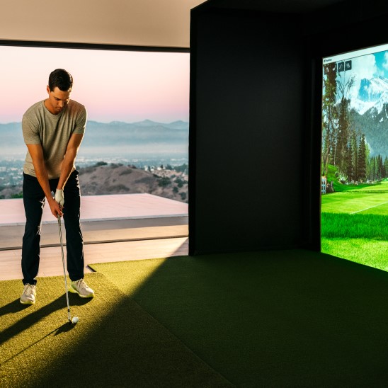 Golfer in Golf Simulator Using QED